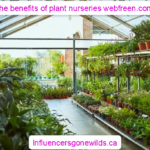 the benefits of plant nurseries webfreen.com