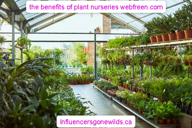 the benefits of plant nurseries webfreen.com