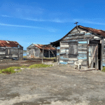 Metal Roofing