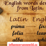 english to latin