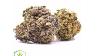 Understanding Canada’s Legal Cannabis Wholesale Market