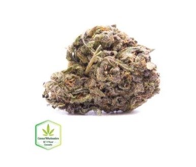 Understanding Canada’s Legal Cannabis Wholesale Market